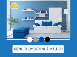 Mệnh thủy sơn nhà màu gì