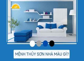 Mệnh thủy sơn nhà màu gì