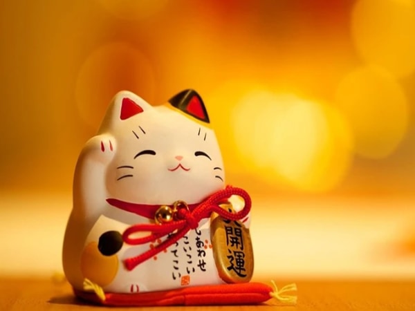 Ứng dụng màu hợp tuổi 1987 trong đời sống