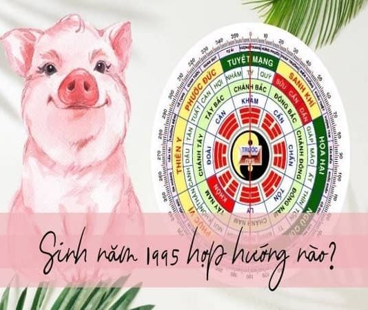 Ất Hợi 1995 hợp hướng nào mua nhà, làm việc hút tài lộc