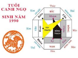 Nam tuổi Ngọ 1990 hợp hướng nào hướng nào hợp kinh doanh