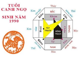 Nam tuổi Ngọ 1990 hợp hướng nào hướng nào hợp kinh doanh