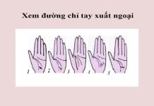 chỉ tay xuất ngoại