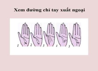 Cách xem đường chỉ tay xuất ngoại đoán vận mệnh khi đi xa chỉ tay xuất ngoại