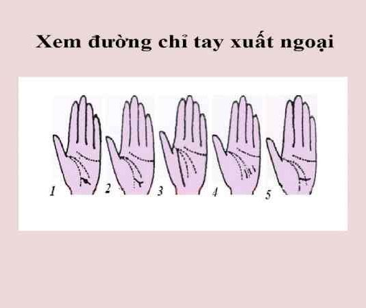 Cách xem đường chỉ tay xuất ngoại đoán vận mệnh khi đi xa chỉ tay xuất ngoại