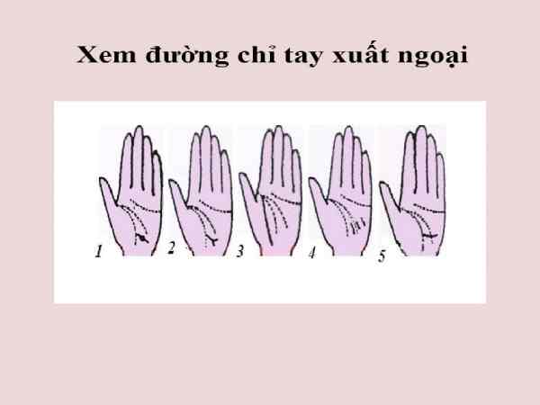 chỉ tay xuất ngoại