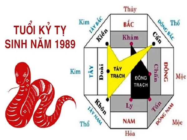 Hướng xấu cần tránh với nam tuổi Kỷ Tỵ
