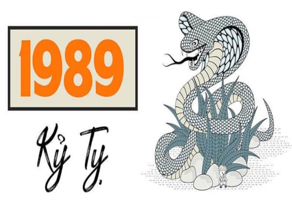 Tổng quan tuổi Kỷ Tỵ 1989 và ý nghĩa ngũ hành
