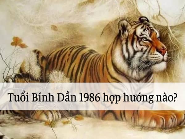 Tuổi Bính Dần hợp hướng nào (1986)?