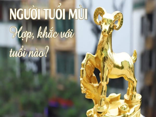 Tân Mùi 1991 hợp tuổi nào để kết hôn, làm ăn?