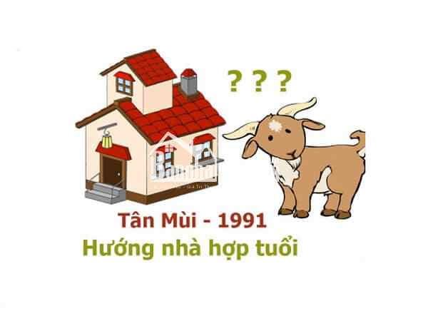 Tuổi Nam Tân Mùi hợp hướng nào