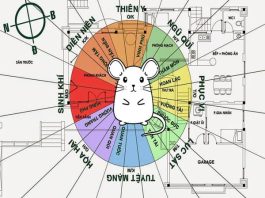 1996 hợp hướng gì, hướng nhà hướng làm việc tốt cho Bính Tý