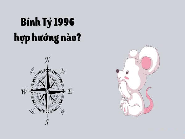 Nữ 1996 Hợp Hướng gì