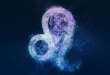 Số tài lộc cung Sư Tử 13/12/2025 mang lại may mắn nào? Tham khảo số tài lộc cung Sư Tử 13/12/2025 mang lại may mắn nào?