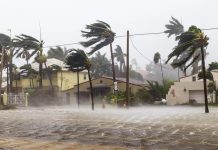 Luận giải nằm mơ thấy gió lớn là điềm gì, may hay rủi?