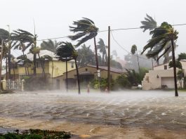 Luận giải nằm mơ thấy gió lớn là điềm gì, may hay rủi?