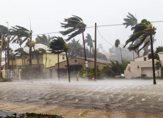 Luận giải nằm mơ thấy gió lớn là điềm gì, may hay rủi?