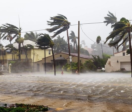 Luận giải nằm mơ thấy gió lớn là điềm gì, may hay rủi? Luận giải nằm mơ thấy gió lớn là điềm gì, may hay rủi?