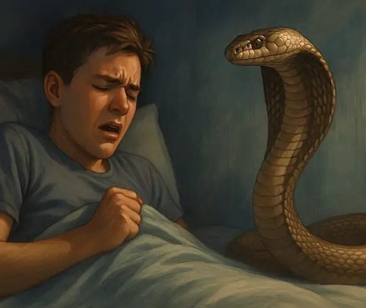 Giải mã nằm mơ thấy bị rắn cắn vào tay là điềm gì? Giải mã nằm mơ thấy bị rắn cắn vào tay là điềm gì?