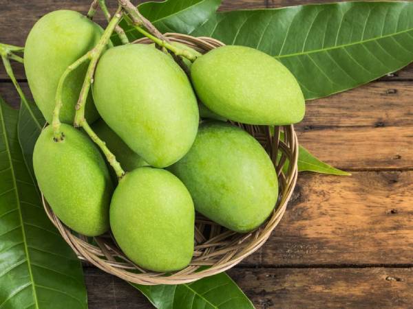 Mơ thấy mình hái xoài Mơ thấy mình hái xoài