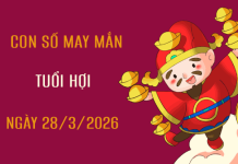 Con số may mắn này 27 tháng 3 năm 2026 tuổi Hợi theo phong thủy