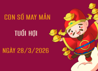 Con số may mắn này 27 tháng 3 năm 2026 tuổi Hợi theo phong thủy