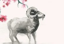 con số may mắn ngày 13/3 thứ 6 tuổi Đinh Mùi