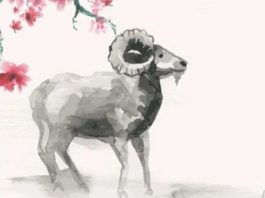 Luận ngay con số may mắn ngày 13/3 thứ 6 tuổi Đinh Mùi con số may mắn ngày 13/3 thứ 6 tuổi Đinh Mùi