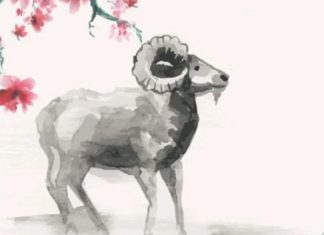 con số may mắn ngày 13/3 thứ 6 tuổi Đinh Mùi