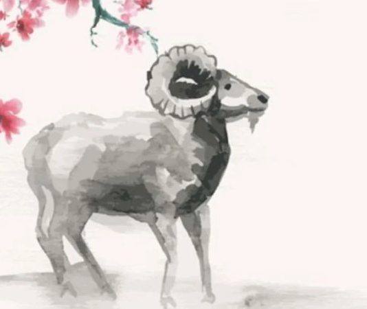 con số may mắn ngày 13/3 thứ 6 tuổi Đinh Mùi