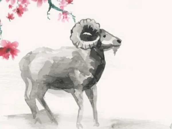 Luận con số may mắn 11/3 tuổi Đinh Mùi theo ngũ hành