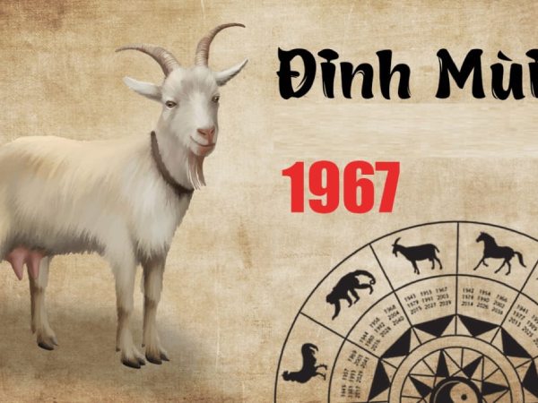 Tử vi tuổi Đinh Mùi ngày 13/3 thứ 6 tốt hay xấu?