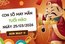 Ẵm lộc vàng với con số may mắn ngày 25/03/2026 tuổi Mão con số may mắn ngày 25/03/2026 tuổi Mão