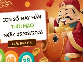 Ẵm lộc vàng với con số may mắn ngày 25/03/2026 tuổi Mão con số may mắn ngày 25/03/2026 tuổi Mão