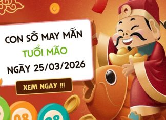con số may mắn ngày 25/03/2026 tuổi Mão