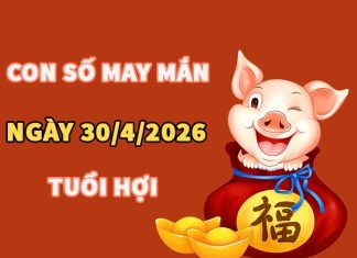 Con số may mắn hôm nay 30/4/2026 thứ 5 tuổi Hợi Con số may mắn hôm nay 30/4/2026 thứ 5 tuổi Hợi