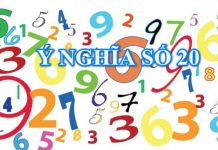 ý nghĩa số 20