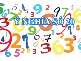 ý nghĩa số 20