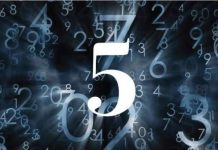 Con quạ số mấy, chọn ngay số gì? Mơ thấy con quạ là điềm gì?