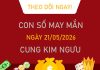 Con số may mắn hôm nay 21/5/2026 thứ 5 cung Kim Ngưu