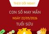 Con số may mắn hôm nay 22/5/2026 thứ 6 tuổi Sửu