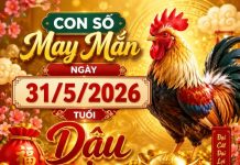Con số may mắn hôm nay 31/5/2026 chủ nhật tuổi Dậu