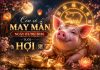 Con số may mắn hôm nay 01/06/2026 thứ 2 tuổi Hợi Con số may mắn hôm nay 01/06/2026 thứ 2 tuổi Hợi