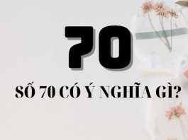 Ý nghĩa số 70 là gì? Giải mã biển số 70 có ý nghĩa gì?
