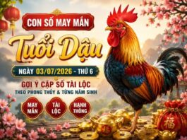 Con số may mắn tuổi Dậu ngày 3/7/2026 Thứ 6 hút tài lộc