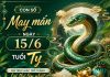 Con số may mắn ngày 15/6 tuổi Tỵ Khi trực giác trở thành lợi thế