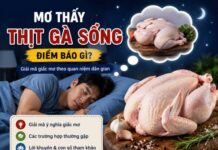 Thịt gà sống ý nghĩa gì? Giải mã mơ thấy thịt gà sống theo dân gian