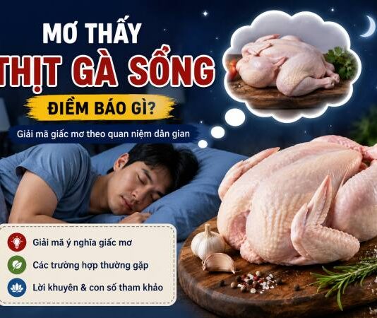 Thịt gà sống ý nghĩa gì? Giải mã mơ thấy thịt gà sống theo dân gian